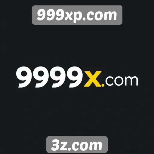 Segurança e privacidade no site 999xp.com